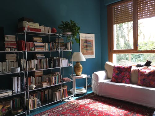 Foto stok gratis buku-buku, dalam ruangan, sofa