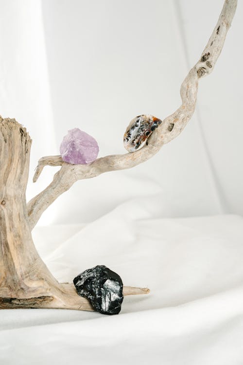 Free Minimalist composition of wooden branch with gemstone crystals on white surface in studio Stock Photo