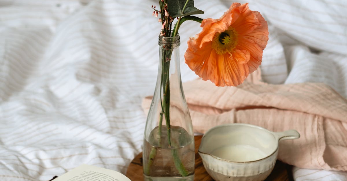 How to scald breast milk on stove