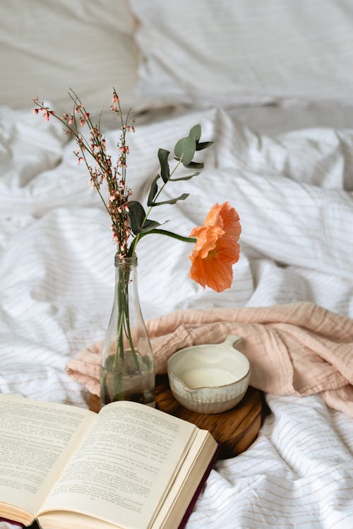 Free A Book on the Bed Stock Photo