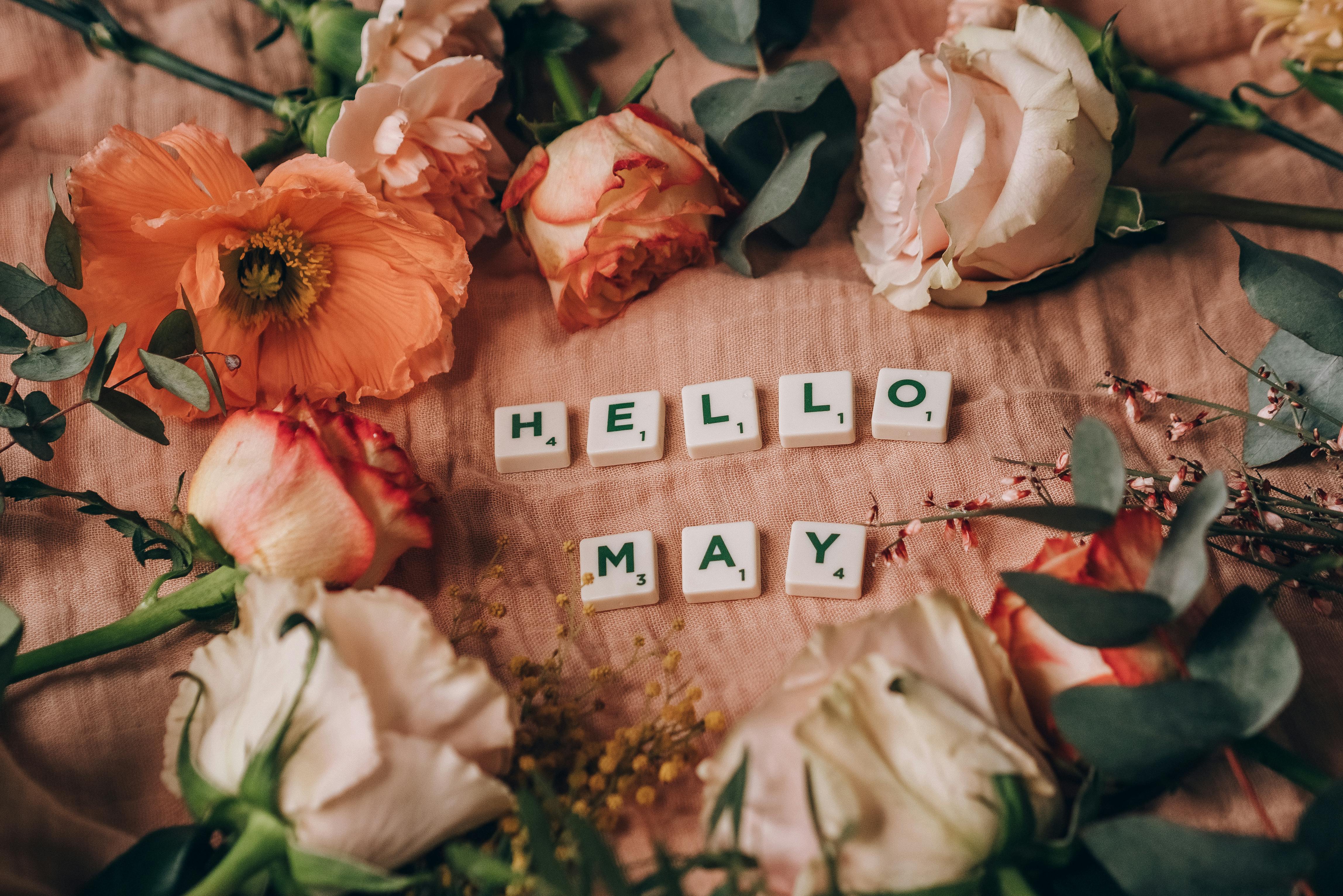 Close-up of scrabble tiles spelling 'HELLO MAY' surrounded by vibrant spring flowers.