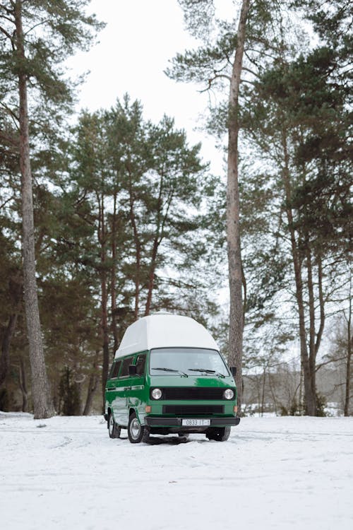 Foto d'estoc gratuïta de acampant, arbres, autobús