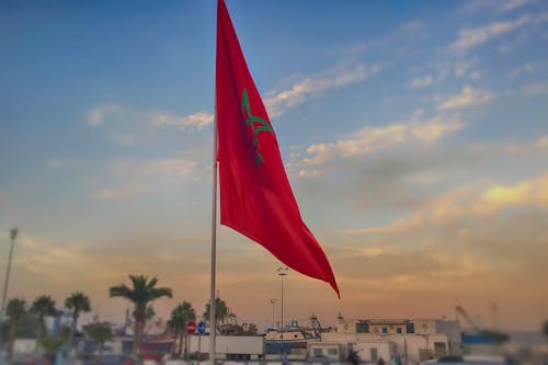 Free Close-Up Photo of the Morocco Flag Stock Photo