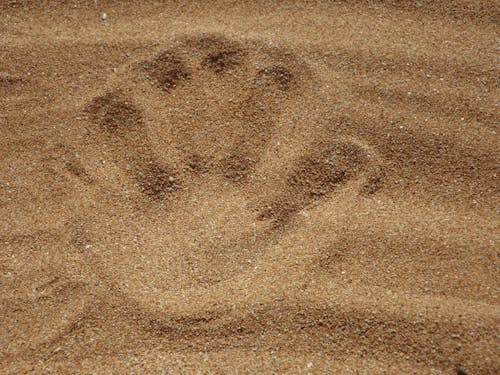 Palm Print on Sand