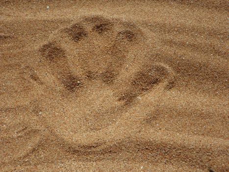 Palm Print on Sand