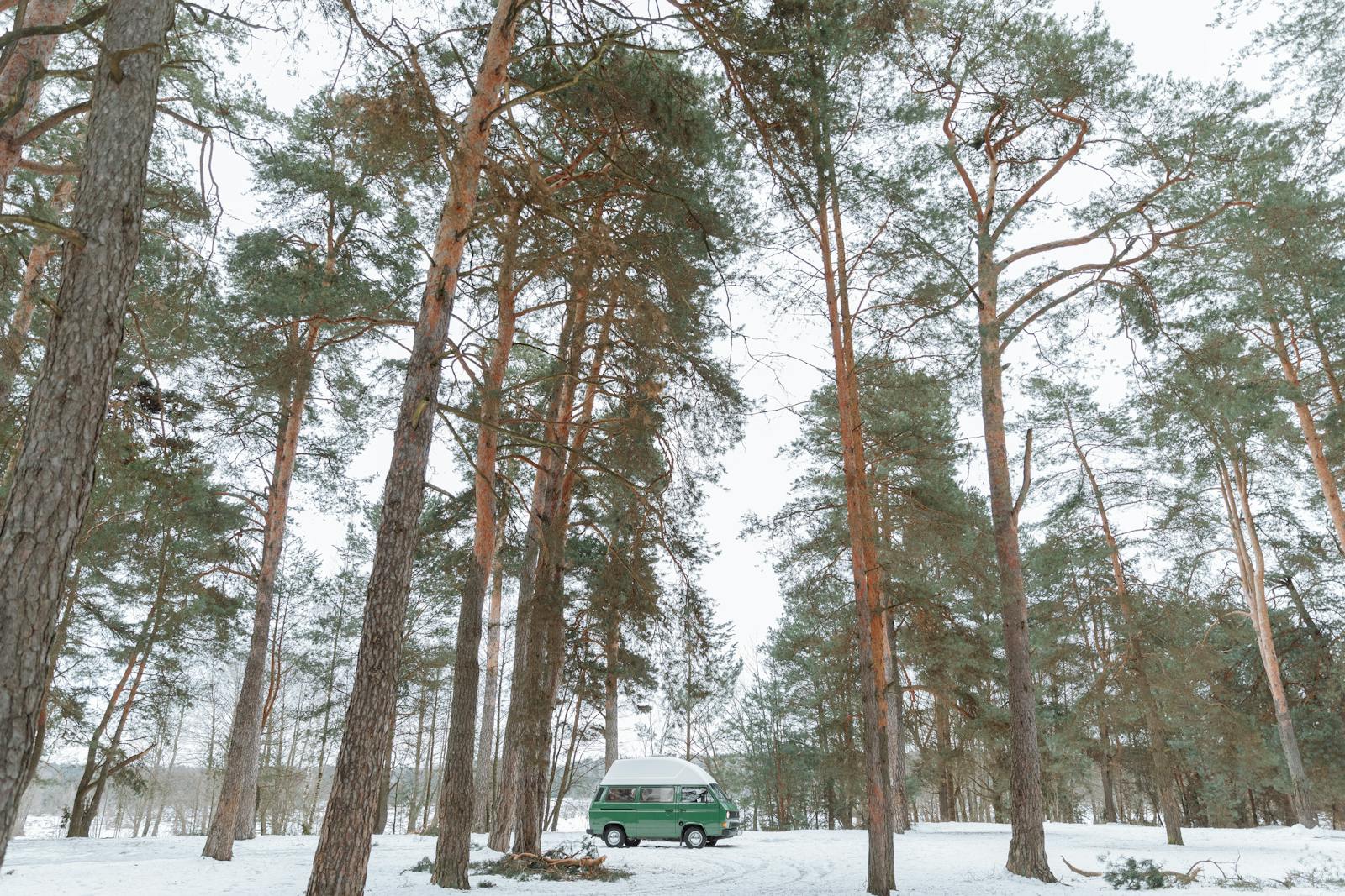 Forrest Photo by Thirdman from Pexels: https://www.pexels.com/photo/camper-van-parked-on-a-forest-with-tall-trees-6946421/