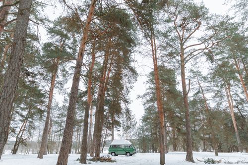 Free A green camper van parked among tall, snow-covered trees in a serene winter forest. Stock Photo