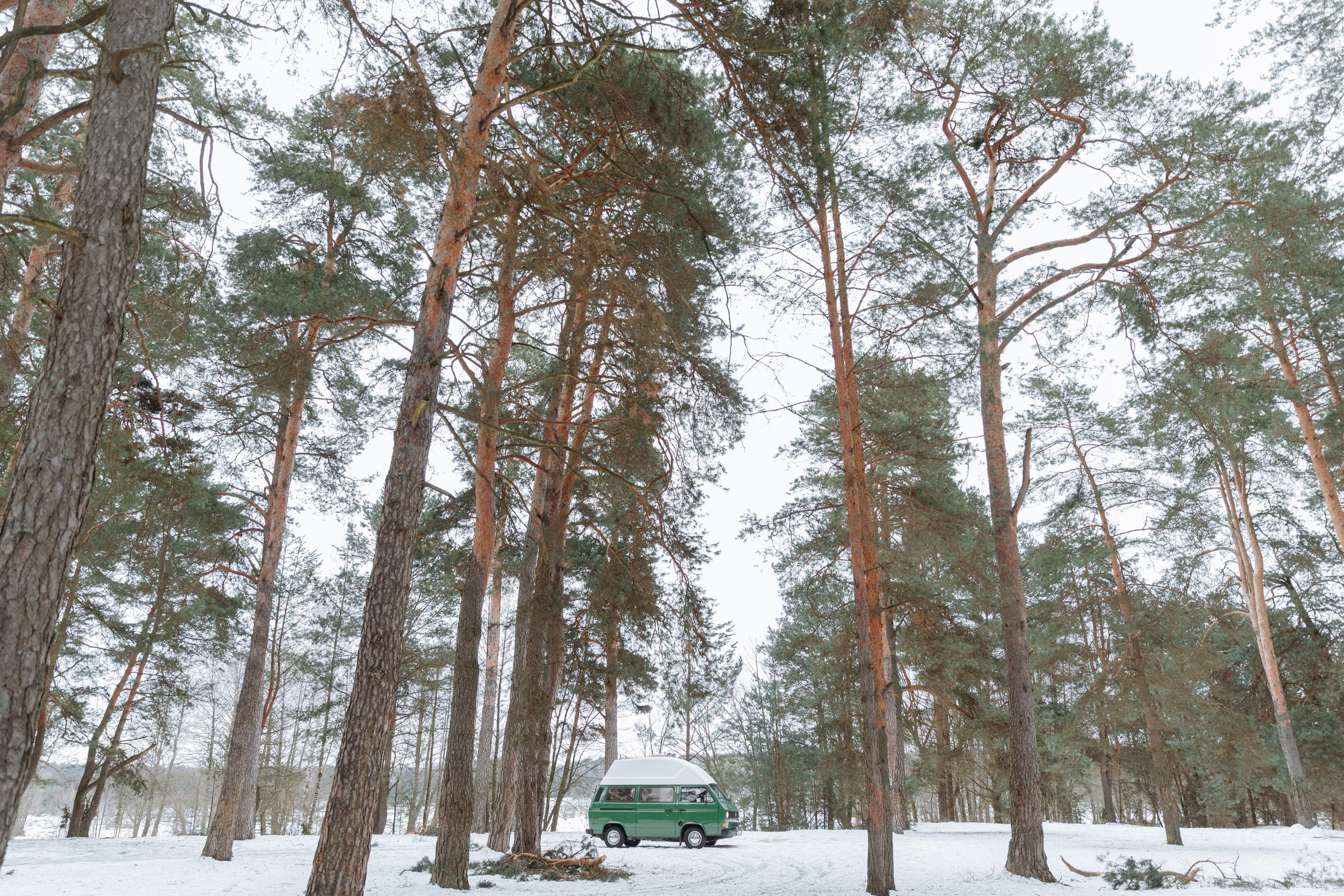 Camper Van Parked on a Forest with Tall Trees · Free Stock Photo