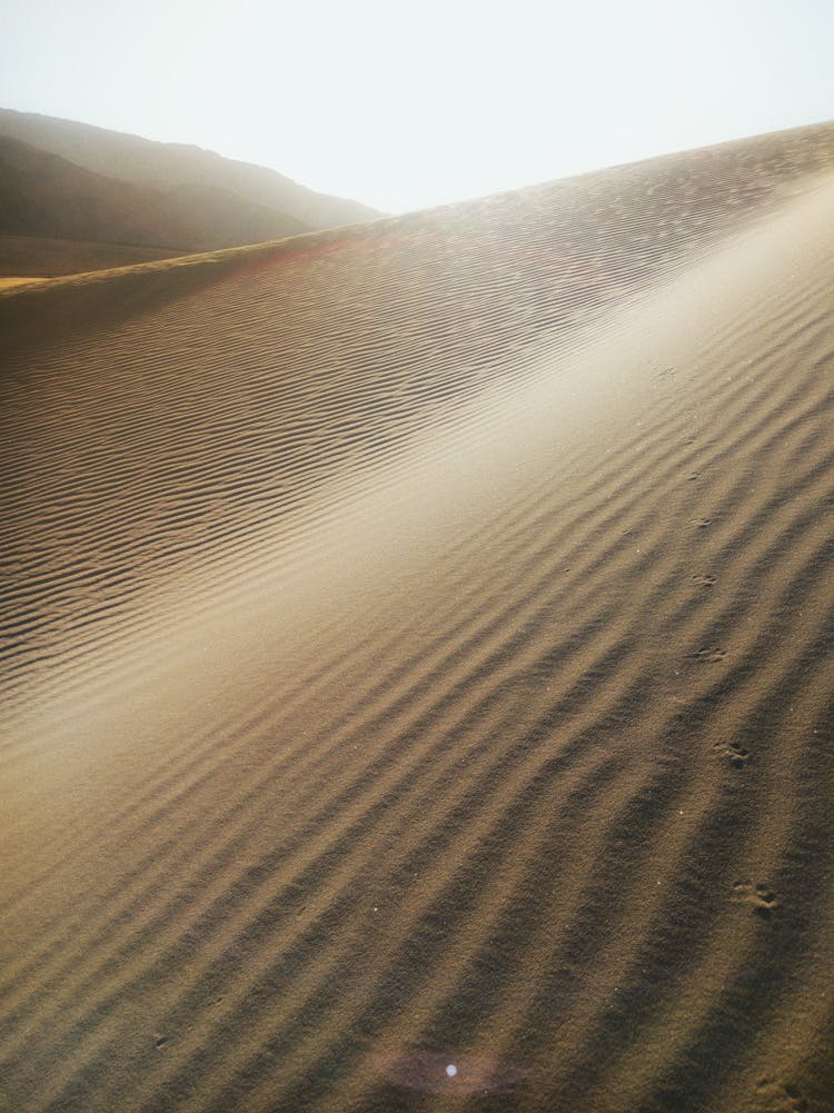 Sand Ripples In A Desert