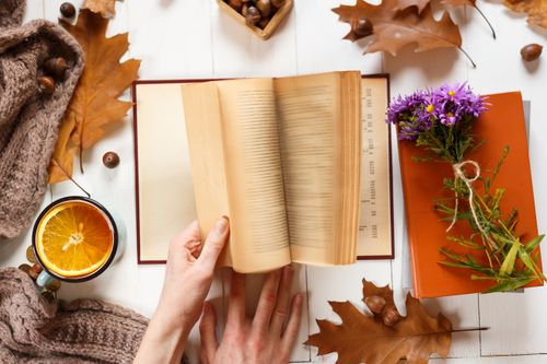 Free A cozy autumn reading setup with a book, flowers, and a cup of orange beverage. Stock Photo