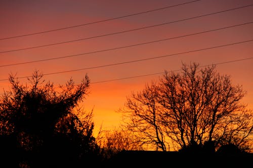 Free stock photo of afternoon, evening, orange