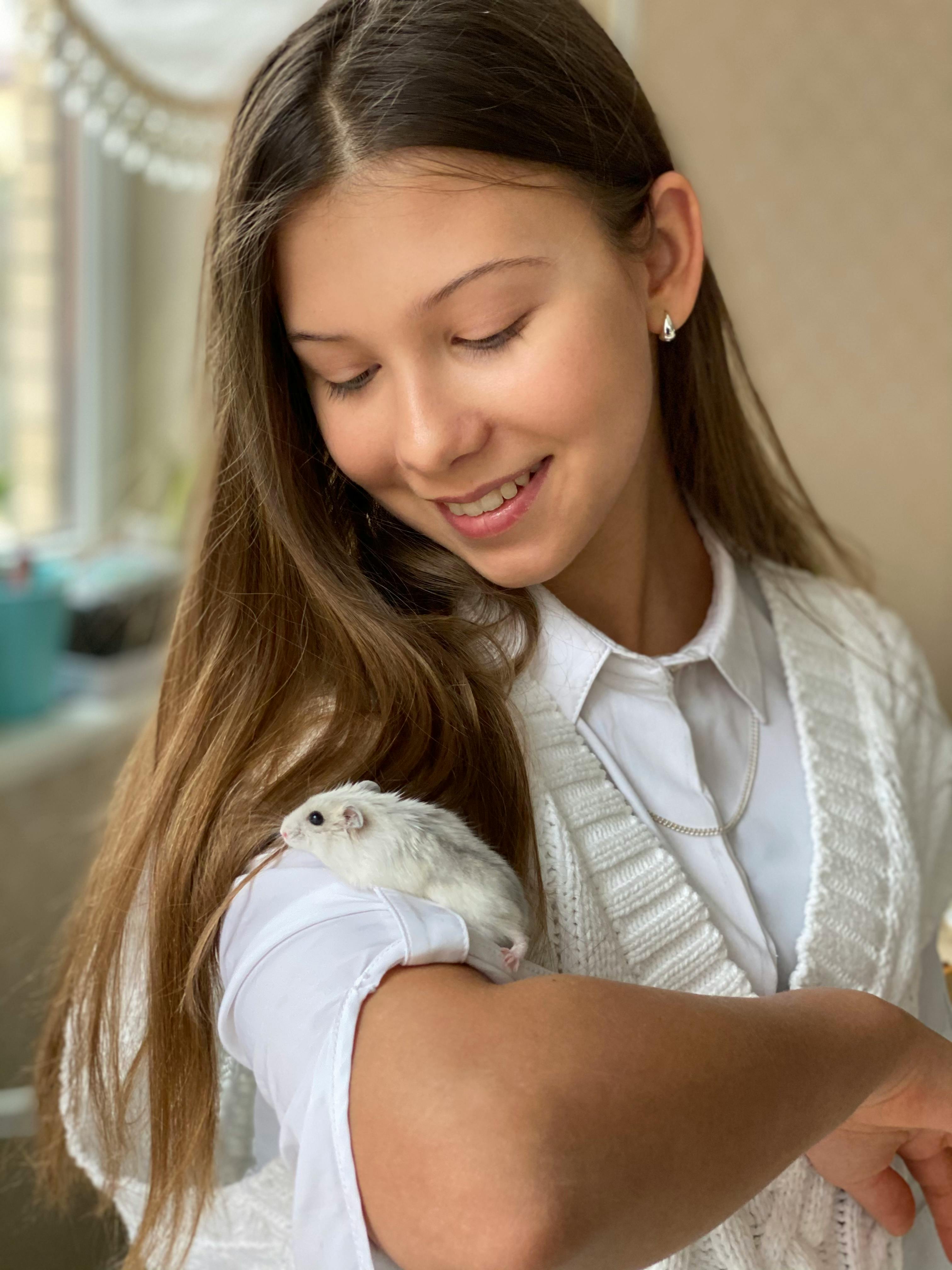 Hamster in cage