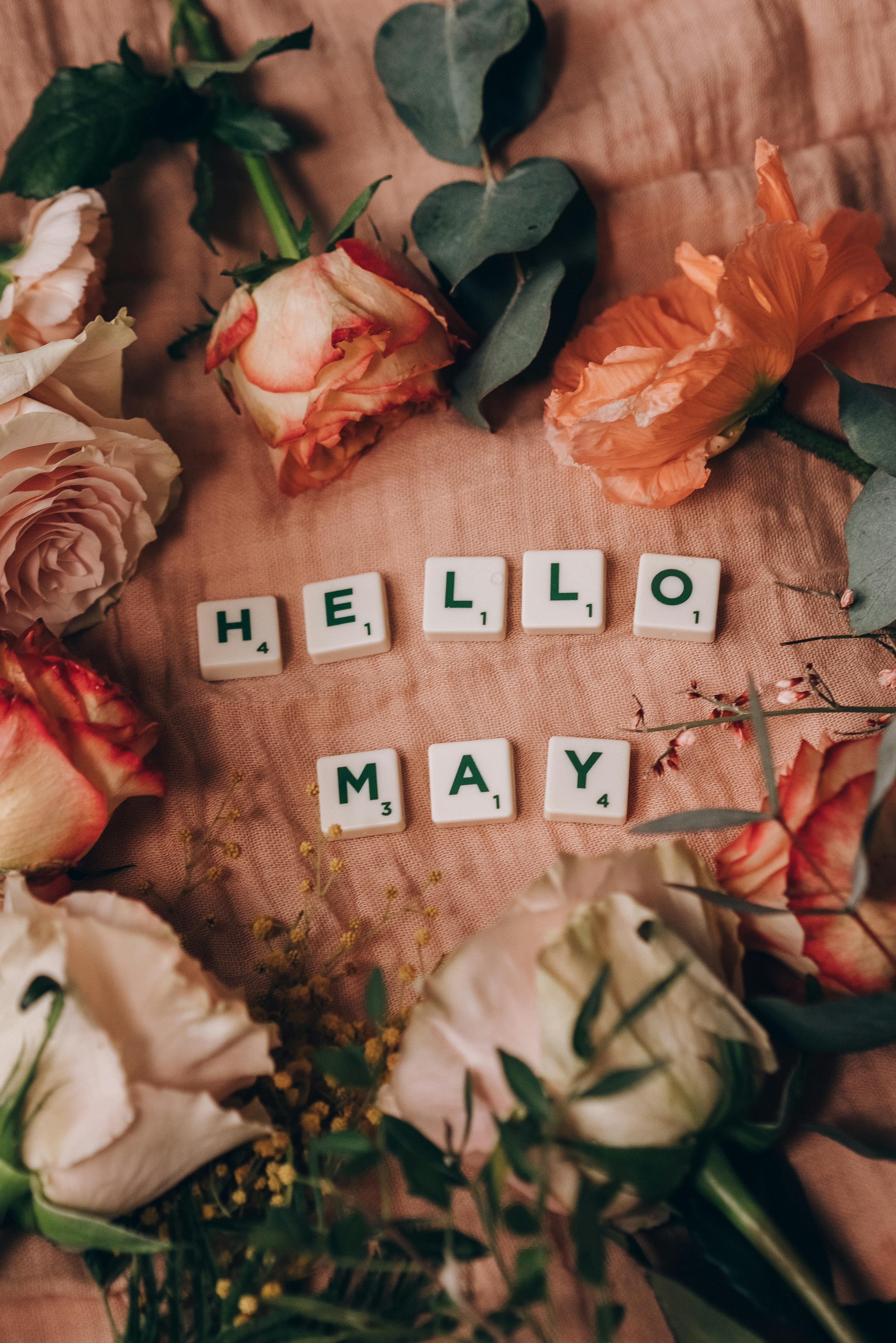 Hello May – Abby Community School Society