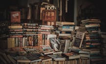 这家舒适的书店里，书架上堆满了小说和文学作品