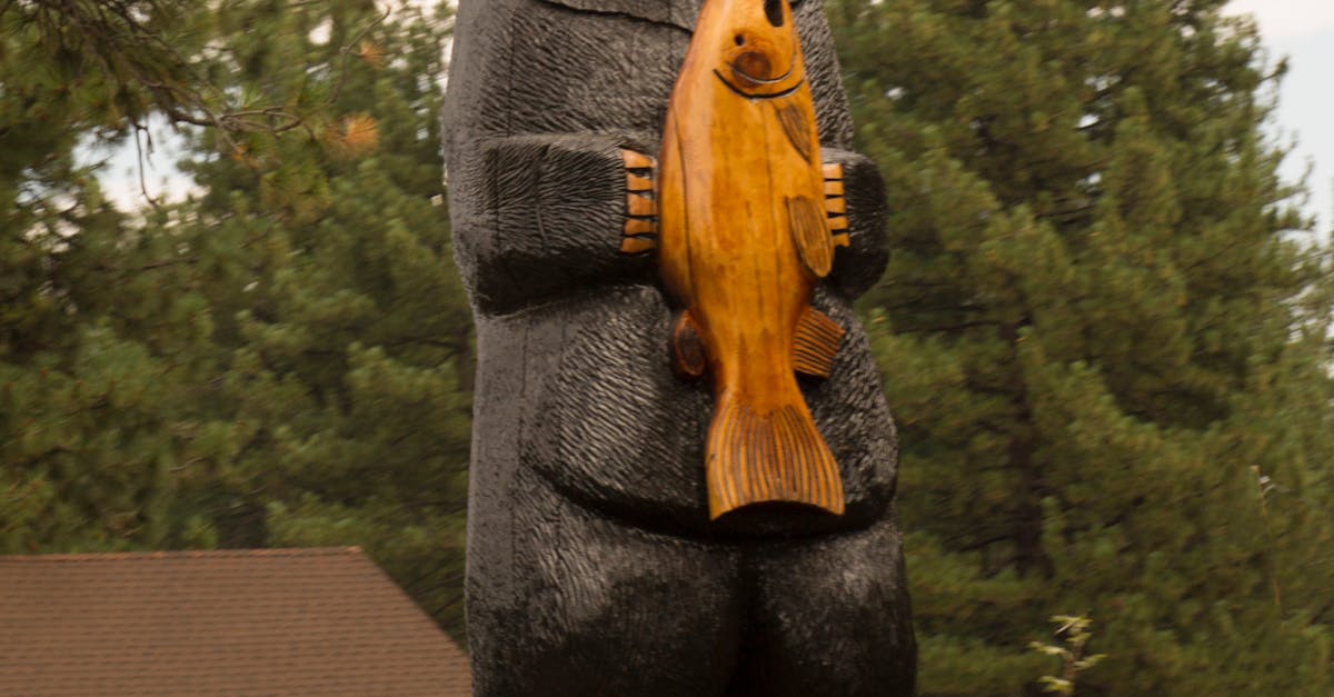 Free stock photo of bear statue, salmon, wood carving