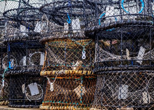 Free A detailed view of stacked lobster pots used for fishing, showcasing intricate netting and design. Stock Photo