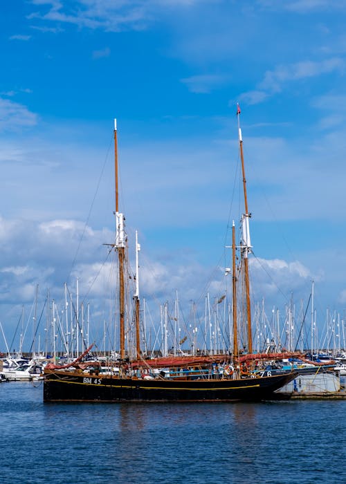 Sailboats Docked in Marina