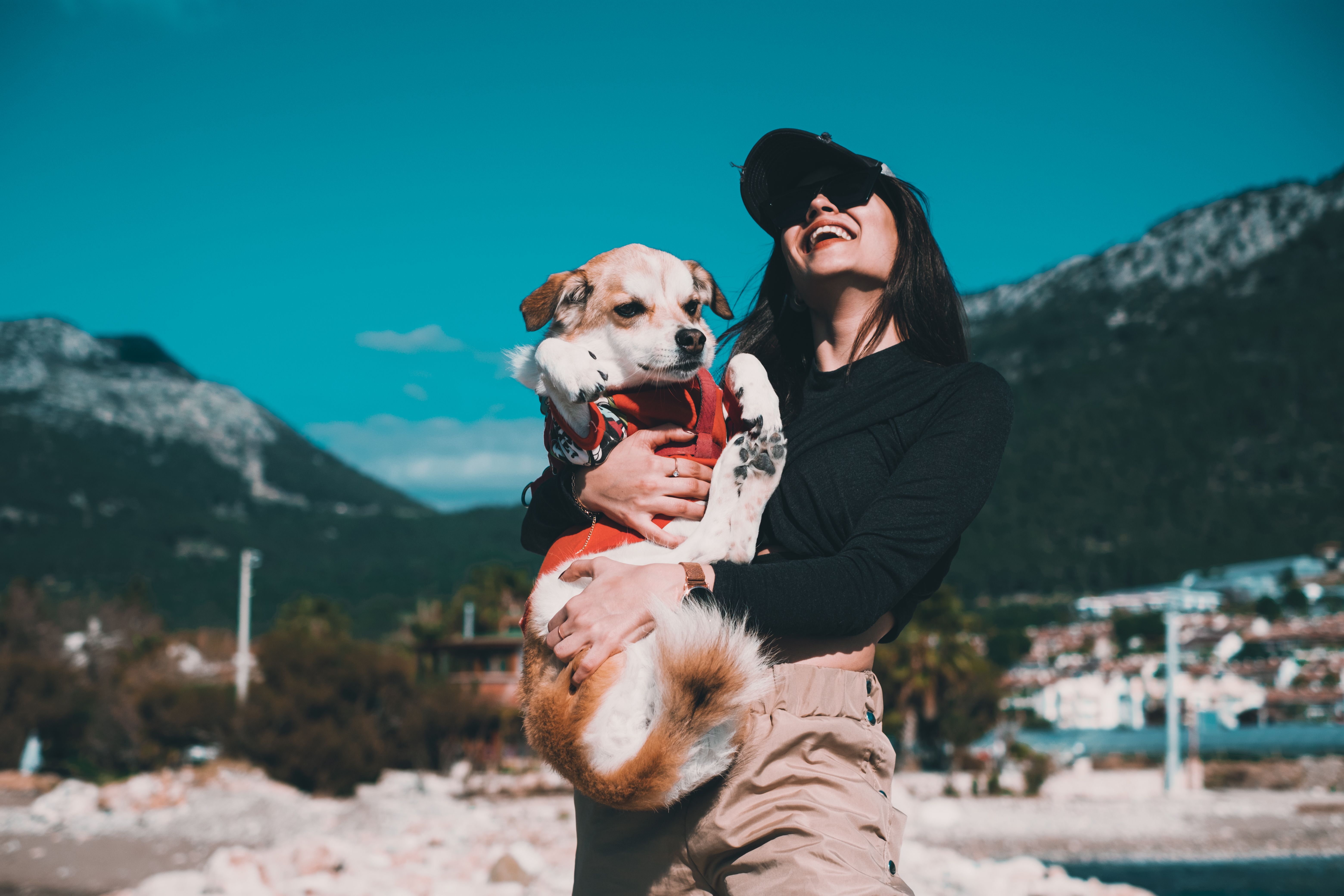 Best Pet Insurance Companies With No Waiting Period (2026) - Insurify — Photo by Furkan Tumer on Pexels