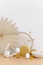 Free stock photo of coloured eggs, dawn, dried flower