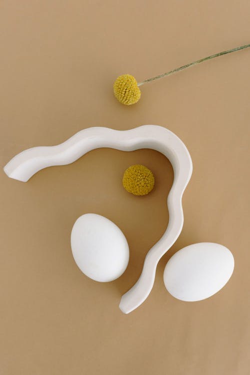 Gratis lagerfoto af æg, æstetisk, beige baggrund
