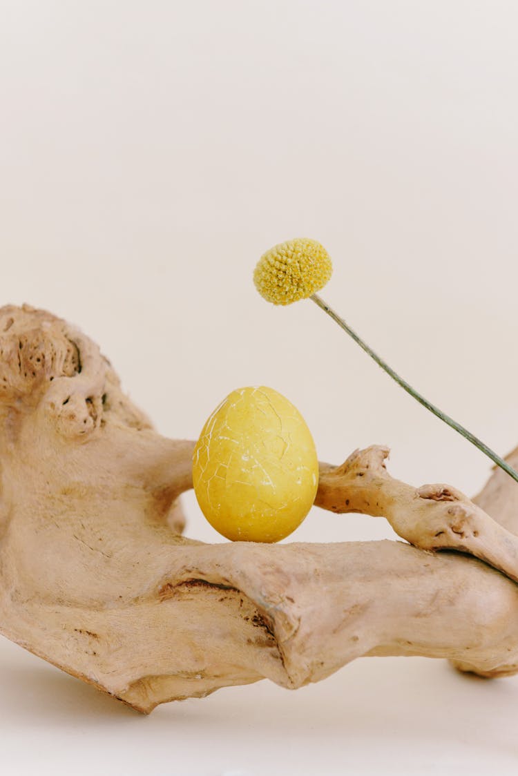 A Yellow Cracked Egg On A Wood Beside A Yellow Flower
