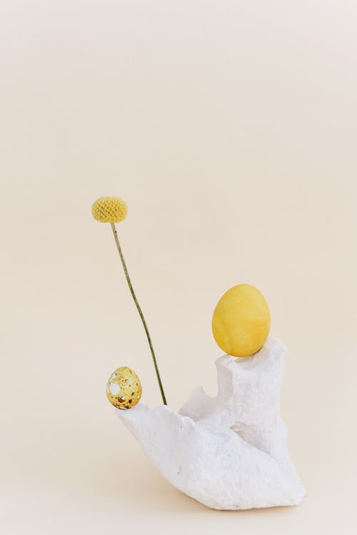 Foto profissional grátis de amarelo, flor seca, formas