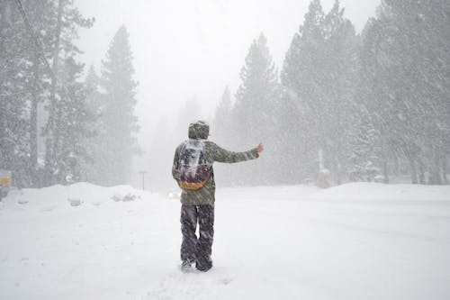 Back view of unrecognizable traveler in warm outerwear and backpack standing on snowy road among coniferous forest and hitch hiking on foggy day