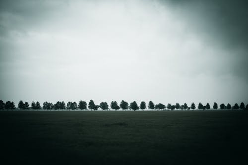 ağaçlar, alan, bulutlu içeren Ücretsiz stok fotoğraf