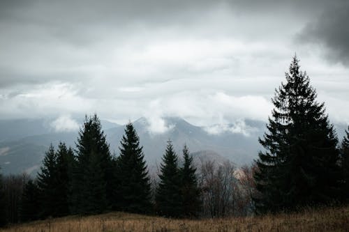 ağaçlar, bulutlu, dağ içeren Ücretsiz stok fotoğraf