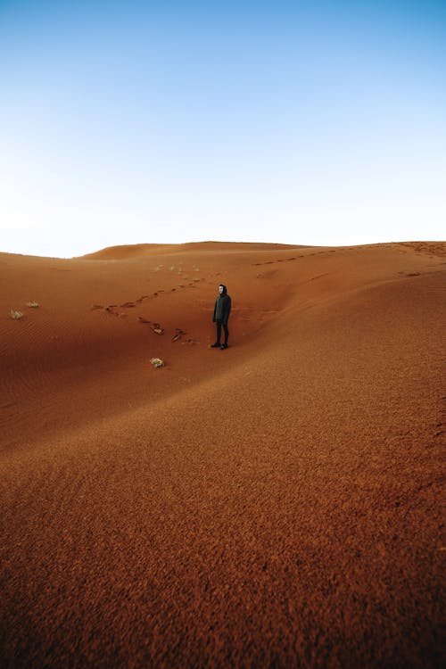 Unrecognizable person standing in sandy desert