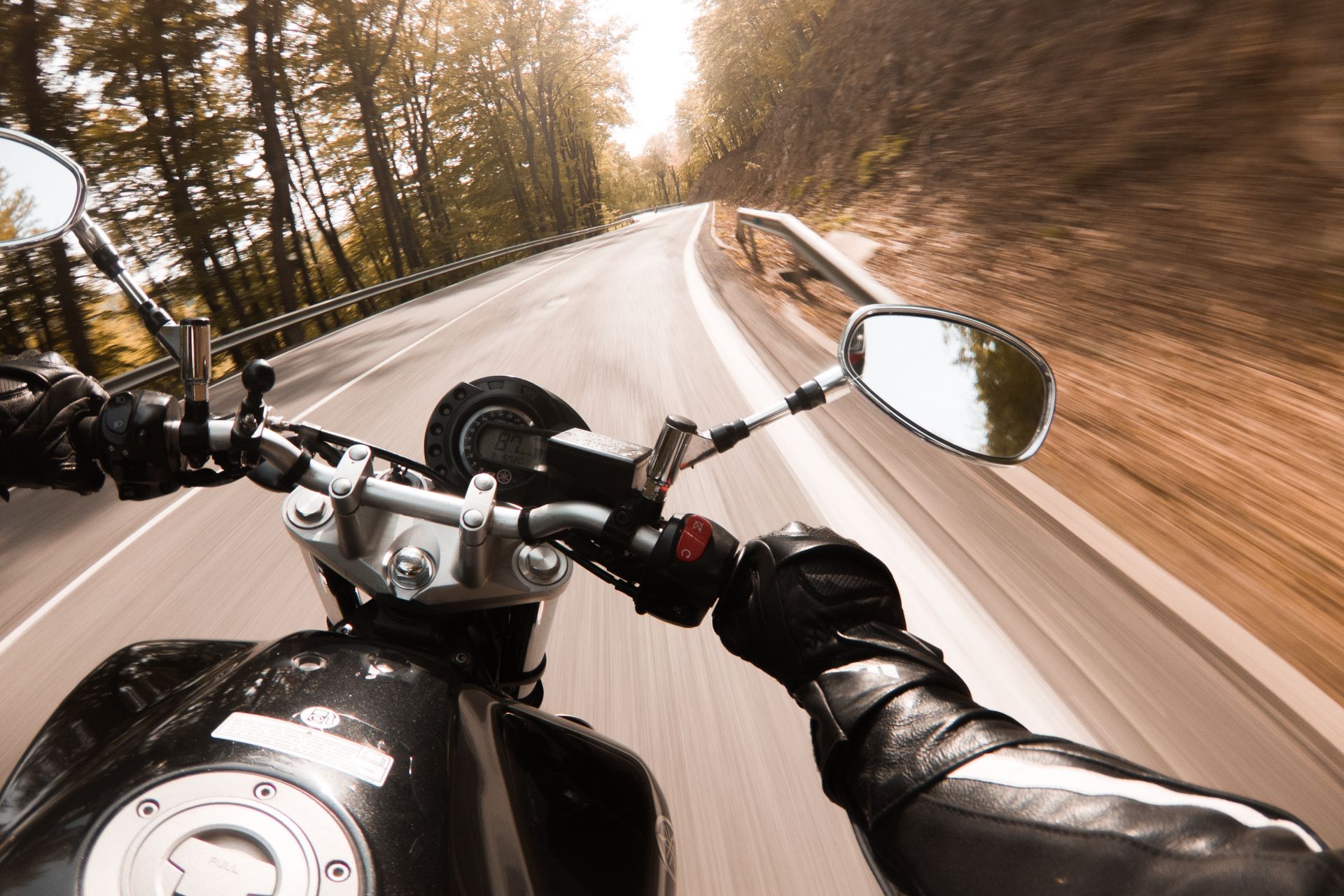 Experience the thrill of speed with this dynamic motorcycle ride on a scenic winding road surrounded by trees.