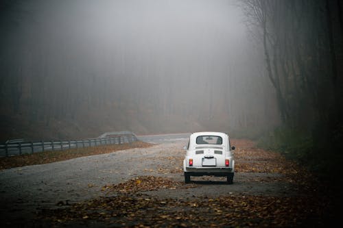 Photo of a White Car on a Road with Leaves