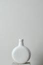 White Ceramic Vase on Plain White Background