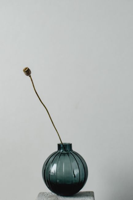Elegant dried flower in a glass vase showcasing minimalistic Japandi style.