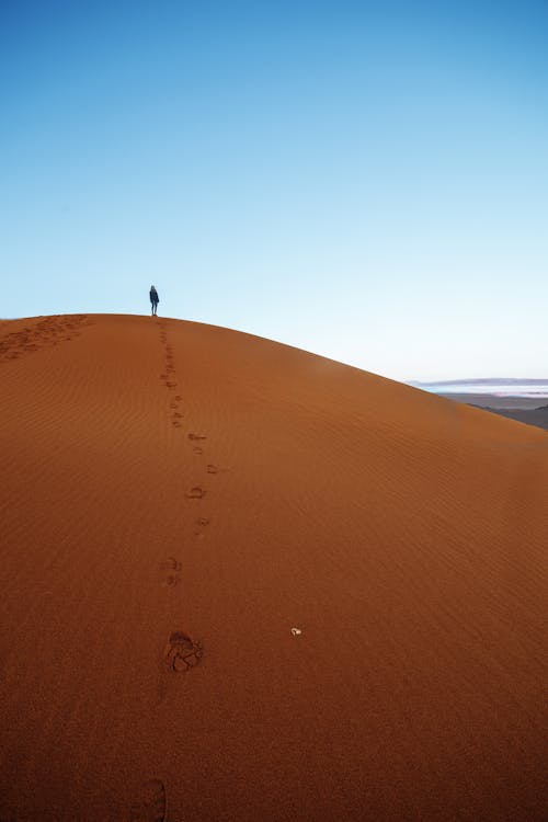 Colorful scenery of sandy desert against blue cloudless sky with traces of unrecognizable traveler on orange sand on daytime