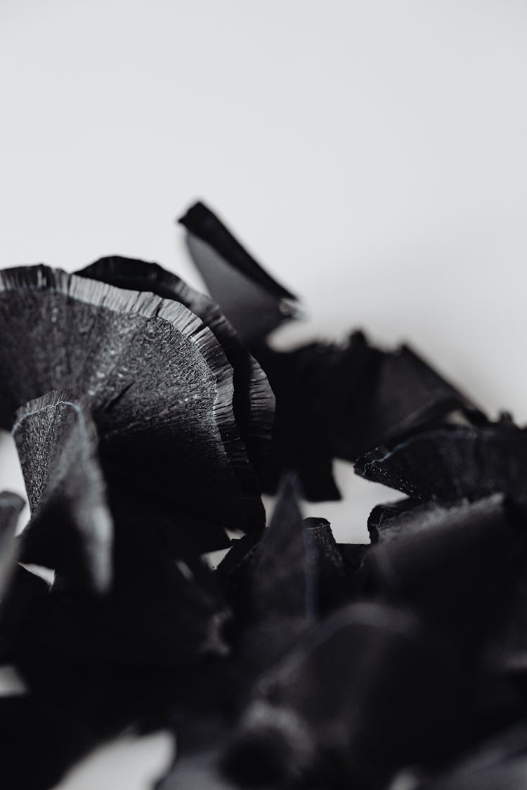 Black Pencil Shavings