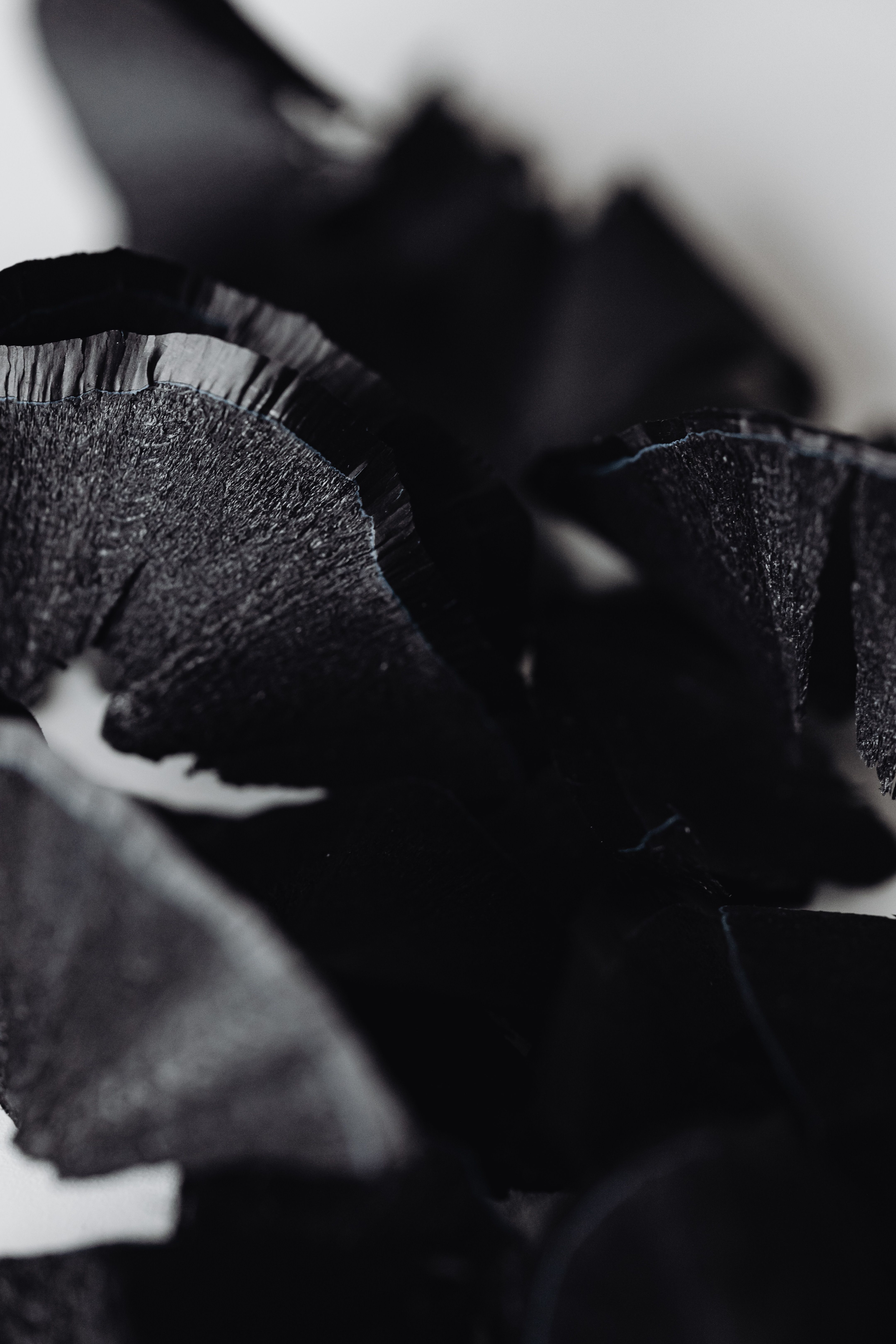Black Edges Photos, Download The BEST Free Black Edges Stock Photos ...