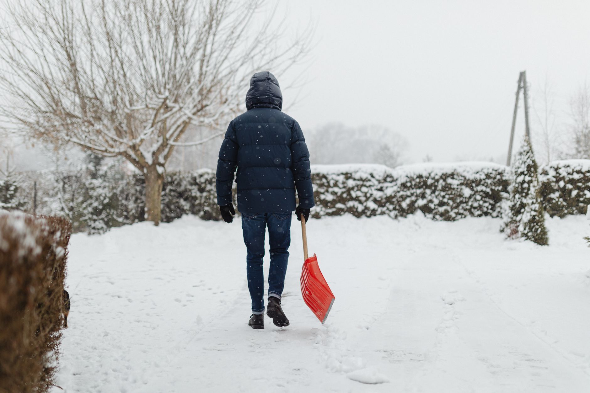 Person in a winter coat shoveling snow outdoors near bare trees