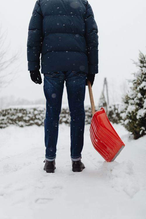 Free Back view of a person shoveling snow wearing a winter coat and jeans, holding a red shovel. Stock Photo