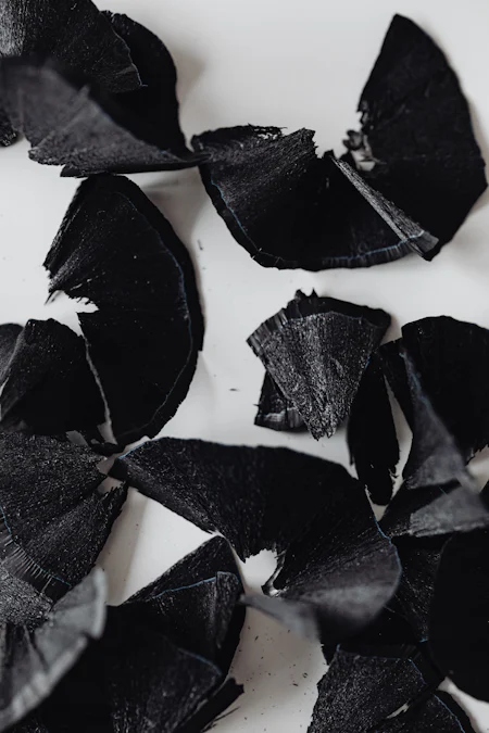 The Rise of Coconut Charcoal: Sustainable Applications and Future Trends