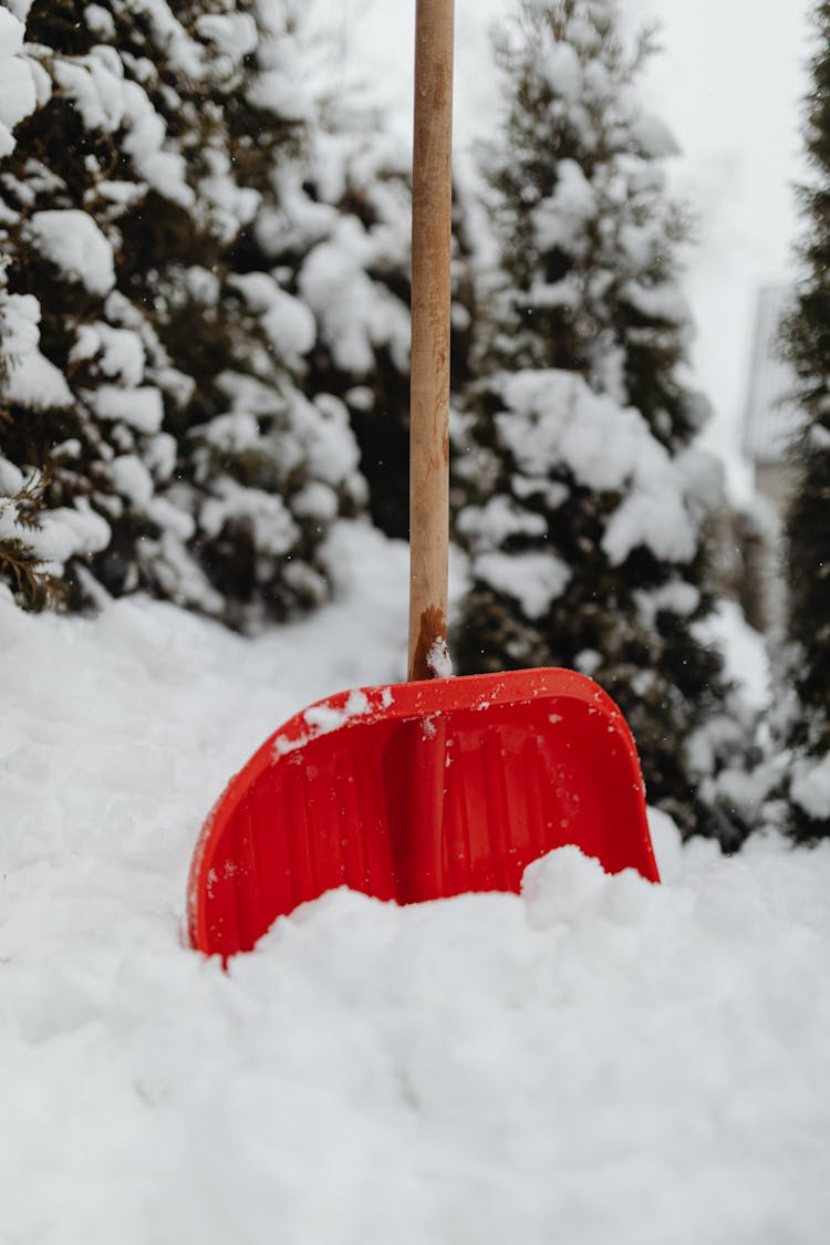 Red Shovel Stuck In Snow