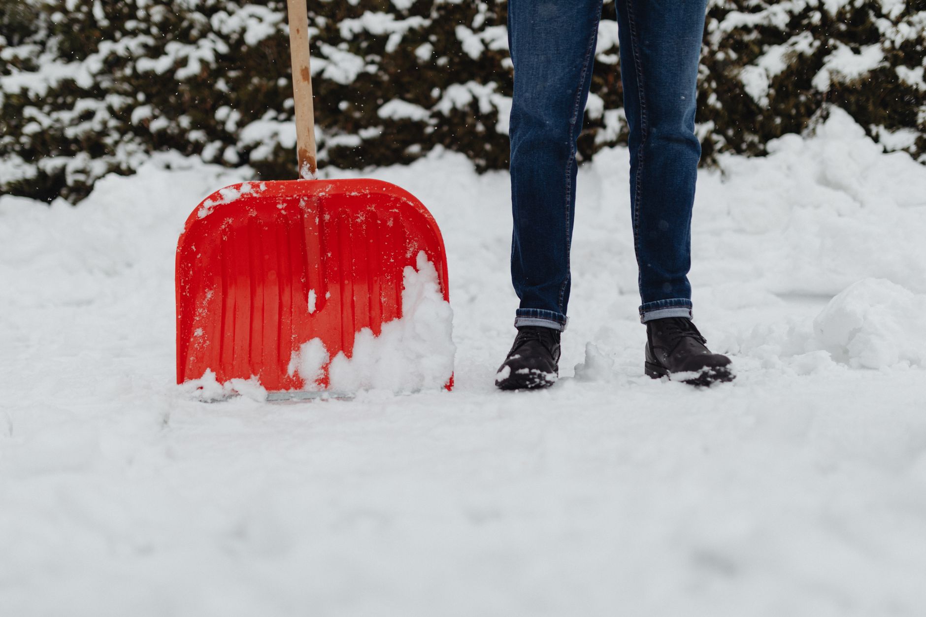 Best Snow Shovels for Heavy Snow (2026)