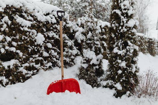 A red snow shovel leaning against a snow-covered hedge during winter outdoors.