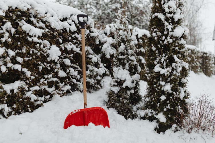 Red Snow Shovel Stuck In Snow 