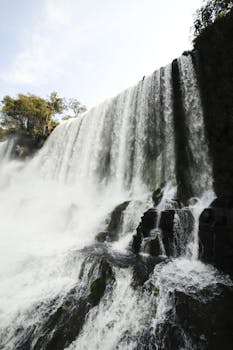 郁郁葱葱的树叶环绕着瀑布下令人叹为观止的岩石悬崖，捕捉了大自然的能量