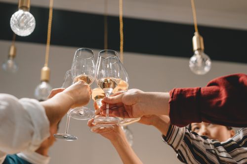 Free Group of friends celebrating with a toast of wine glasses indoors. Stock Photo