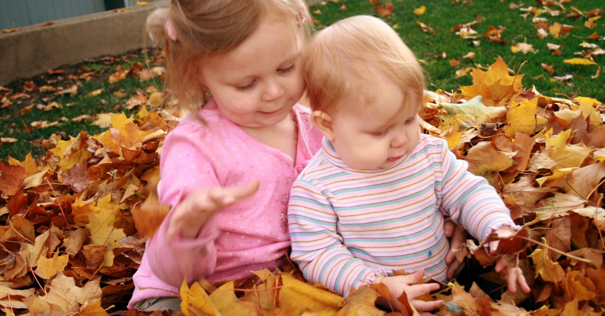 Free stock photo of autumn, autumn colours, autumn leaves