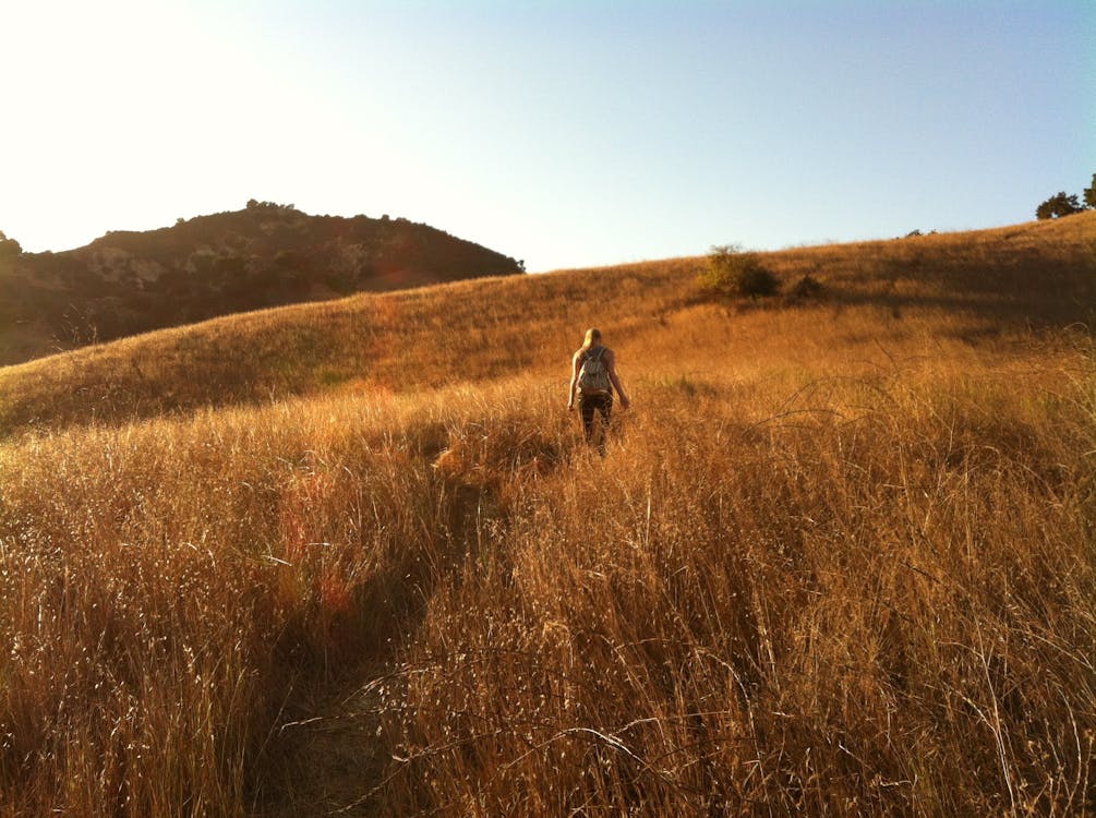 무료 낮 동안 파란색과 흰색 하늘 아래 갈색 잔디 필드에 걷는 여자 스톡 사진