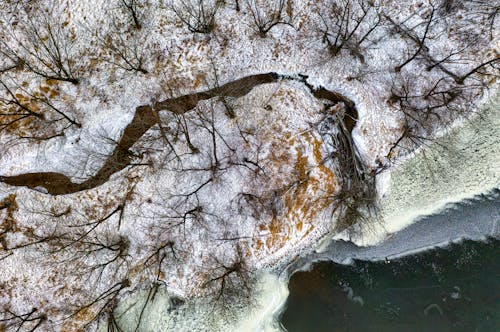çıplak ağaçlar, dallar, drone çekimi içeren Ücretsiz stok fotoğraf