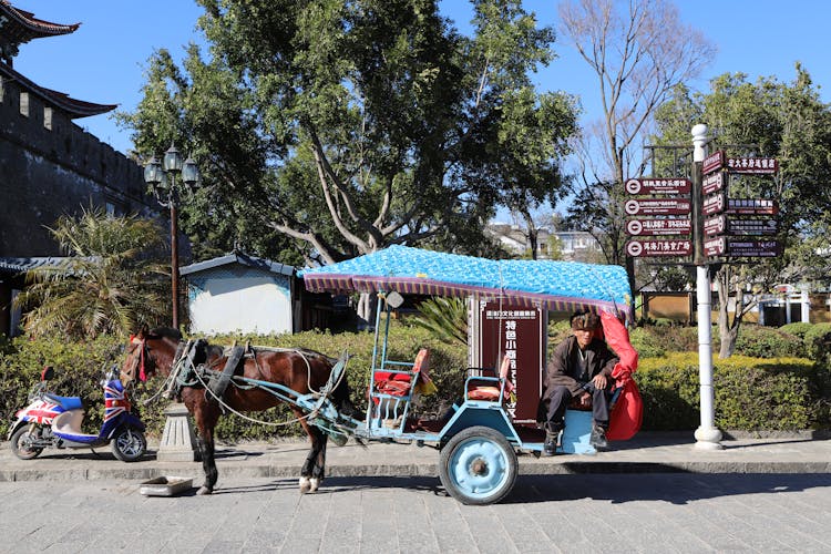 Man Riding Horse With Horse Carriage